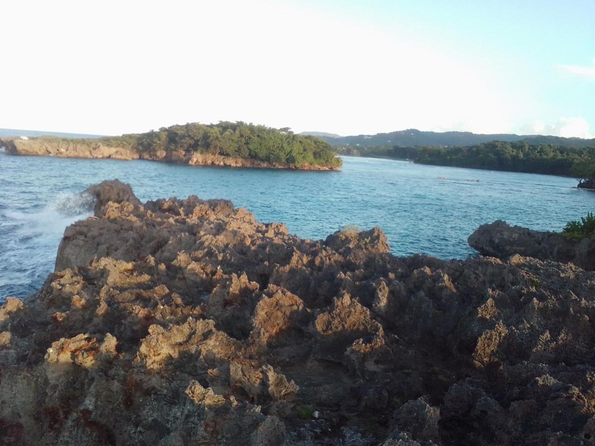 Port Antonio Brian'S Beach House Экстерьер фото