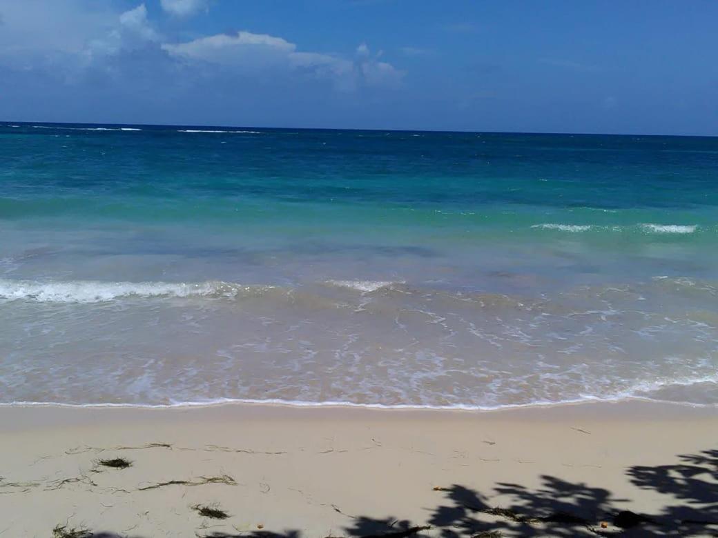 Port Antonio Brian'S Beach House Экстерьер фото