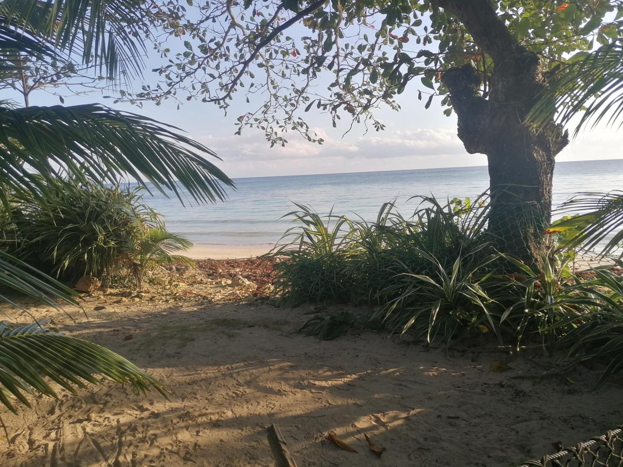 Port Antonio Brian'S Beach House Экстерьер фото