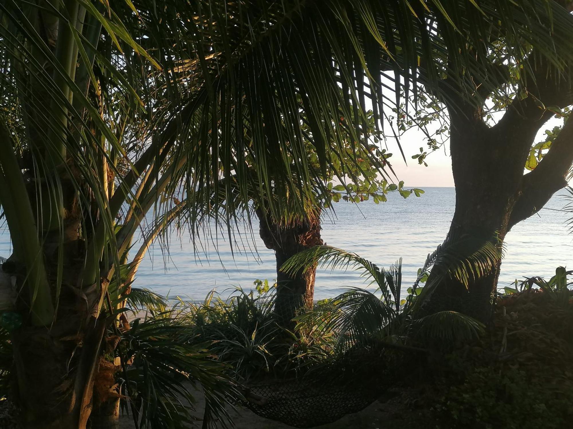 Port Antonio Brian'S Beach House Экстерьер фото