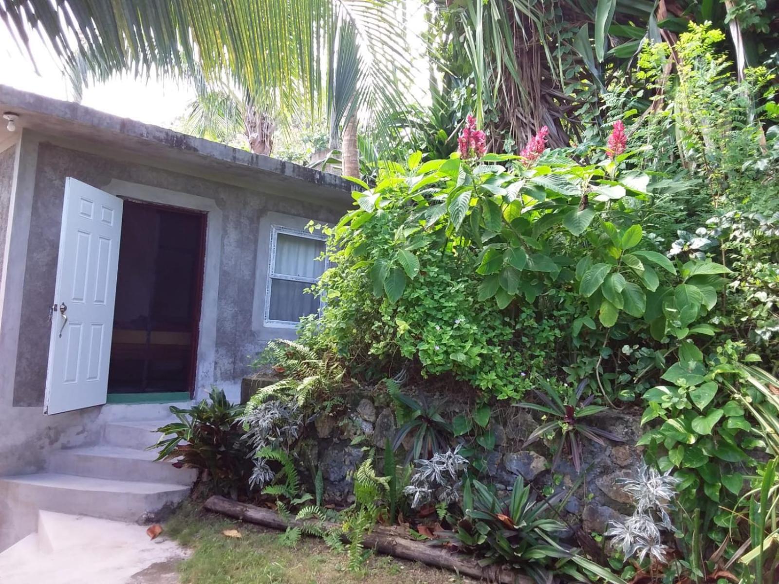 Port Antonio Brian'S Beach House Экстерьер фото